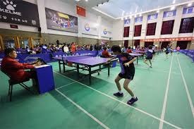 MLB》大谷翔平转队机率高 下季有望与法官同队